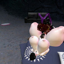 Thumb 665775815313f25835ed3a61