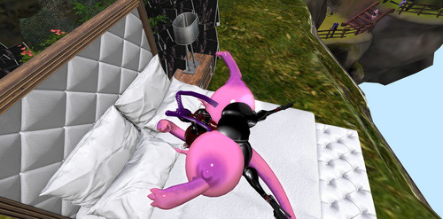 Web 655ceb1d0fc92a332cb8e00d