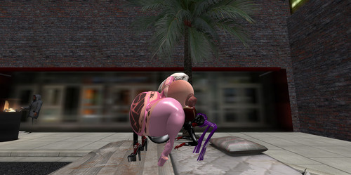 Web 6627d6e85313f224a3ed3a61