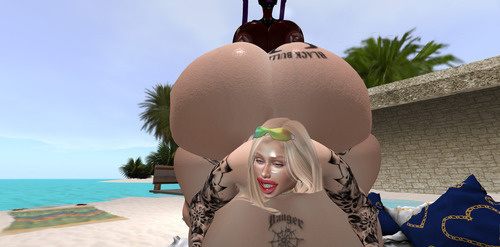 Web 66467d112c8ed27b02729709