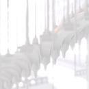 Thumb 5e011c45d9859c21906ad327