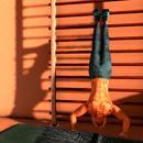 Thumb 5e1362ea73ed17489bae48b3