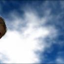 Thumb 5e177ce2d774f833e265e464