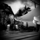 Thumb 664f9403fc761d4fcddd1ae8