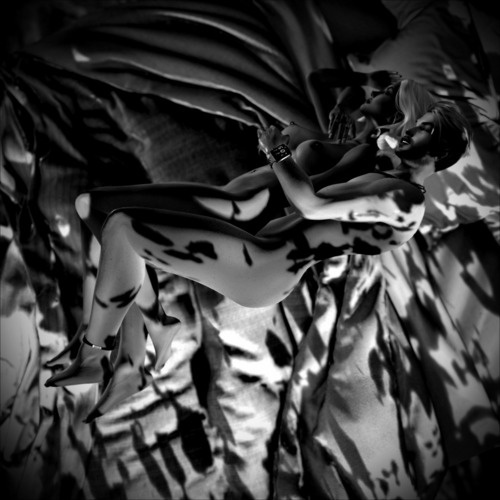 Web 65acfa7e382a2d141668e9e1