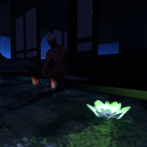 Web 6783904367199b1f169026f0