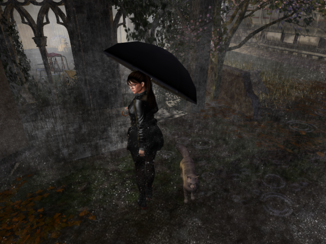 Original 65ff78ef8031597ea4565e4b