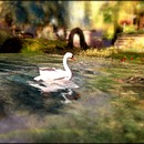 Thumb 5885030fb713f75893000001