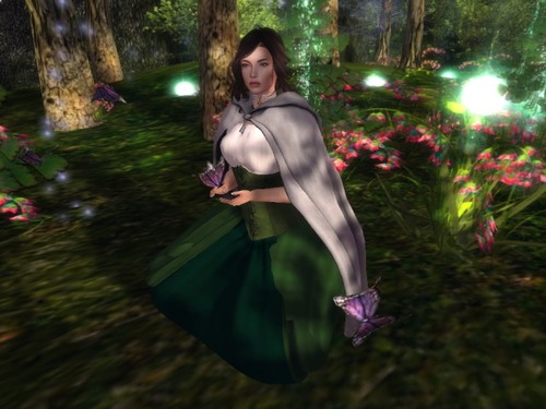 Web 585df988f8a1ec1ddd000001