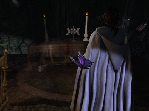 Web 585dfc9ab015403d11000001