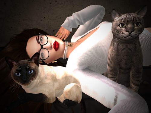 Web 58638077e85cda537d000001