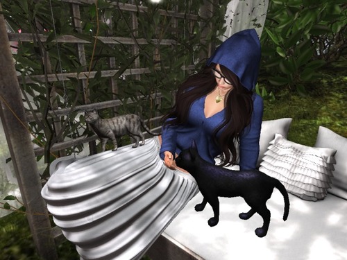 Web 5885219df8a1ec3203000001