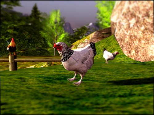 Web 58857a86e85cda37e3000001