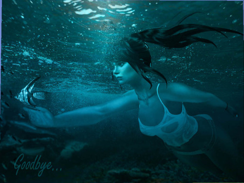 Web 65e3e0b2b854061842c0801c