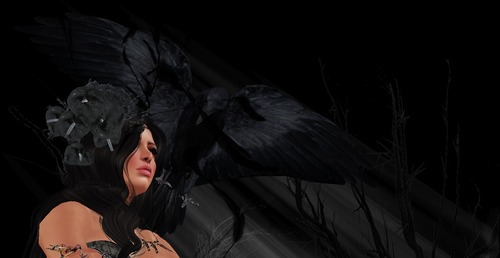 Web 522793398e468e5b1d000001