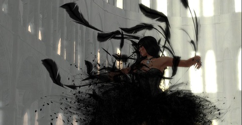 Web 52287e77e3146763ef000001