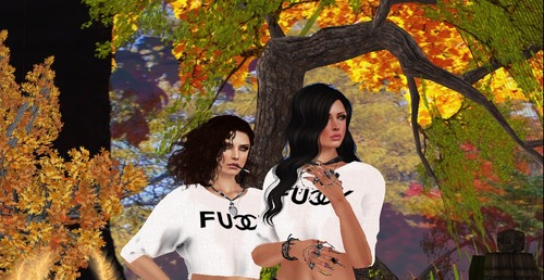 Web 522c857917348303aa000001