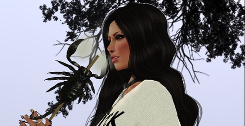 Web 522c99db9ab66c3344000001