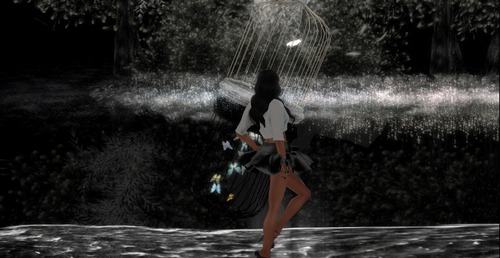 Web 522cd89fc9a5e72496000001