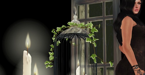 Web 522ce3d59ab66c27e8000001