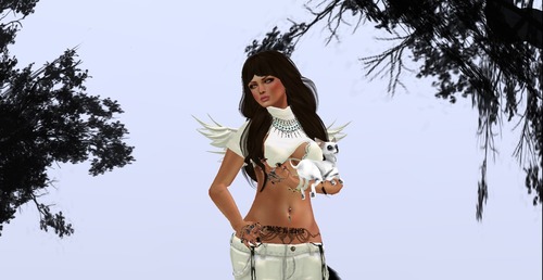 Web 5235b3c2736b4e240b000001