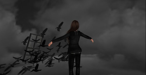 Web 527f8aafb556ef2940000001