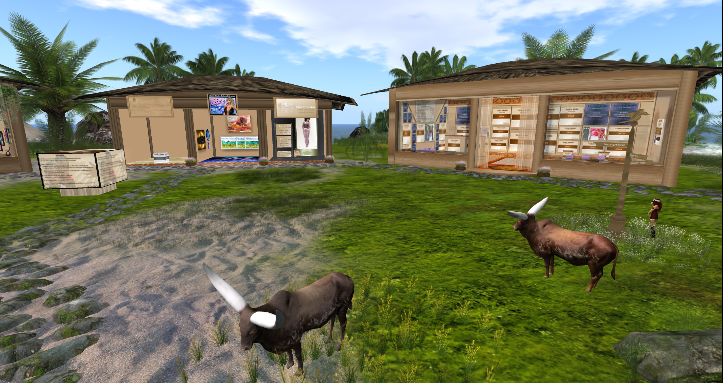 Original 50cb18b1132c024a47000001