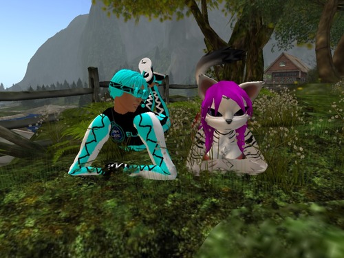 Web 51c956d78eb6a47c5c000001