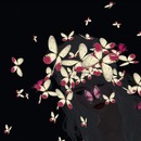 Thumb 51980a028eefe855df000001