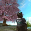 Thumb 51bf979ce13c091608000001