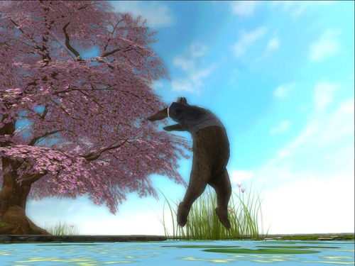 Web 51bf974295c4744102000001