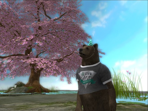 Web 51bf977854b00603c5000001