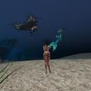 Thumb 62cb6abfd403ef5428f6ac92