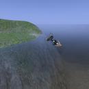 Thumb 62cba870a7496159fa3a9c68