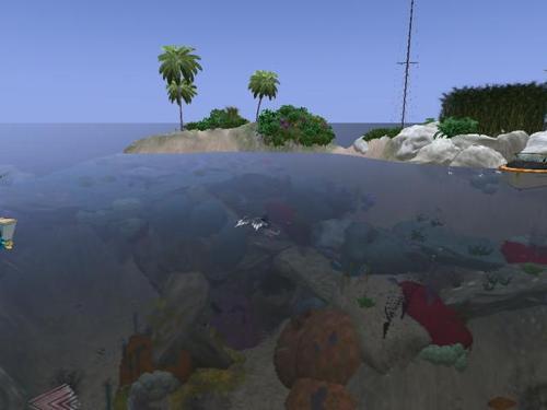 Web 62cbd3a997b88f1dce8755cd