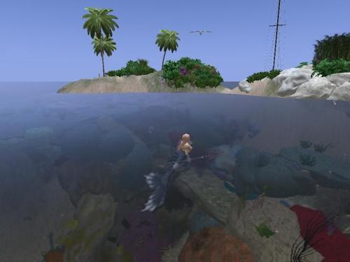 Web 62cbd3dc211a3f54b164f9a2