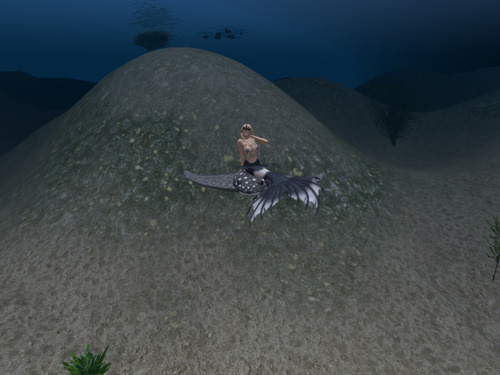 Web 6362c286cffee0777315896b