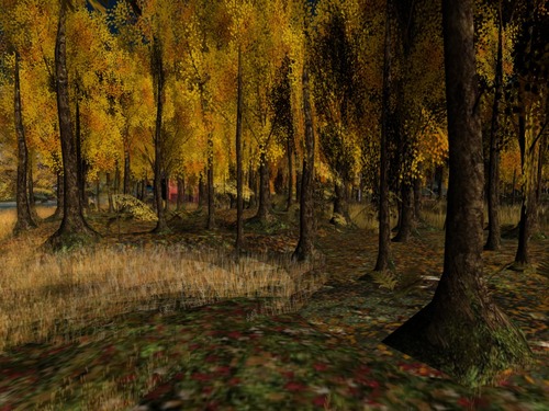 Web 527eb9264410361478000001