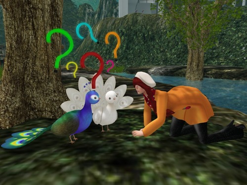 Web 528f45d9c8f90203c5000001