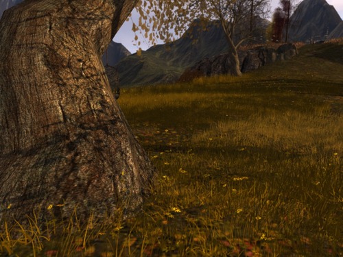 Web 56198f9e8da57265a8000001