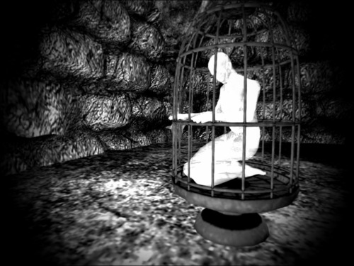 Web 561e39e53f942f2ebb000001