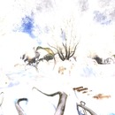 Thumb 52ea76f58da5720811000001