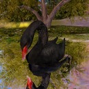 Thumb 52ea7bb28da57224d2000001