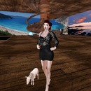 Thumb 52eae6198da5724a55000001