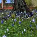 Thumb 5336f8138da5720176000001