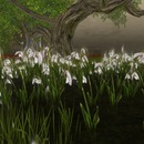 Thumb 54bbf3c9f8a1ec0220000001