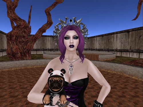 Web 5317313df8a1ec45d9000001