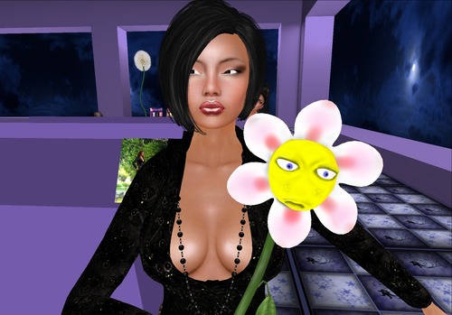 Web 536a8c2ba73e211c10000001