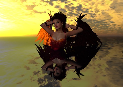 Web 54ff52dd128cc905f1000001