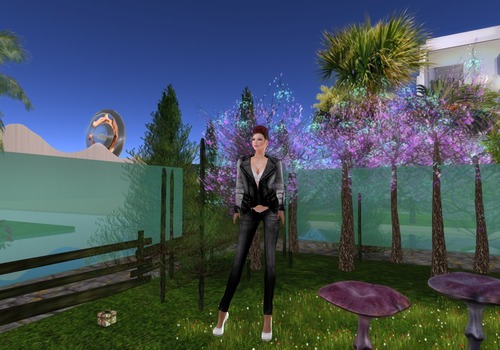 Web 55328d3c128cc95515000001